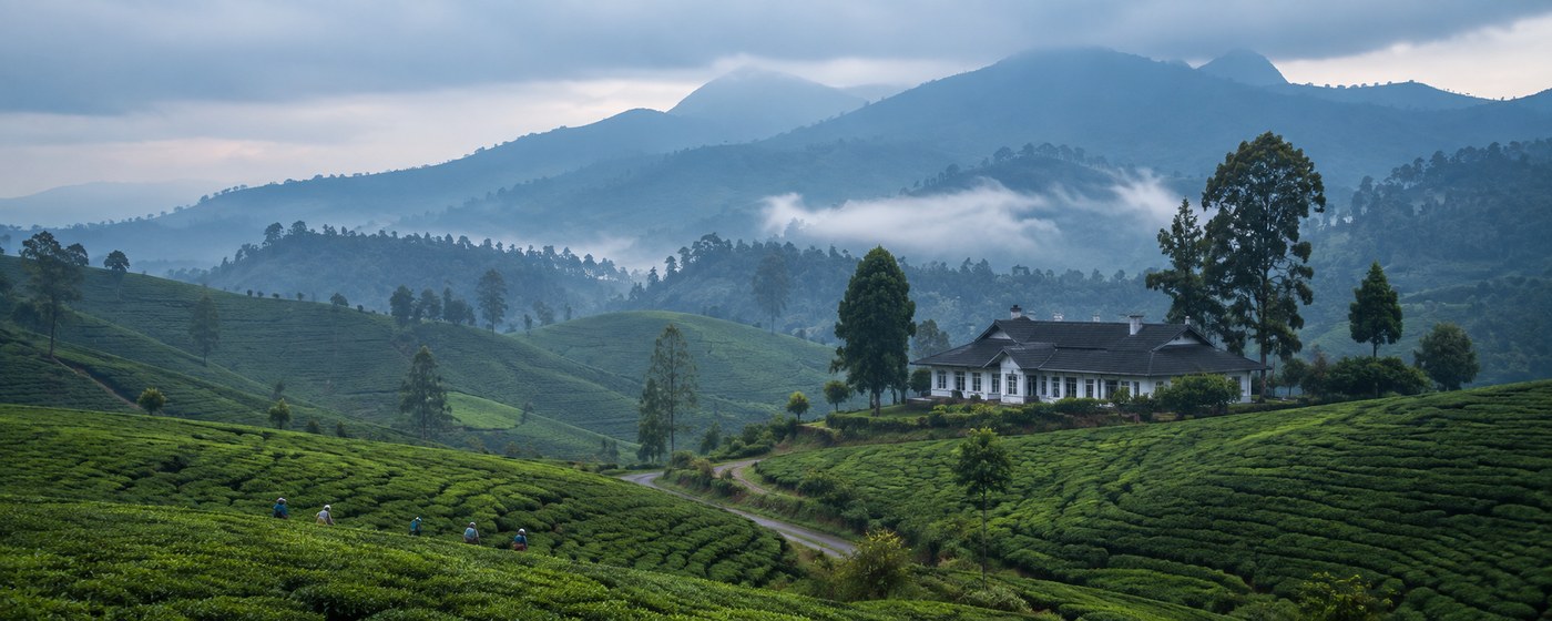 Nuwara Eliya