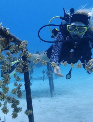 Travel That Gives Back