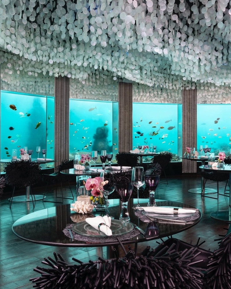Underwater Experiences